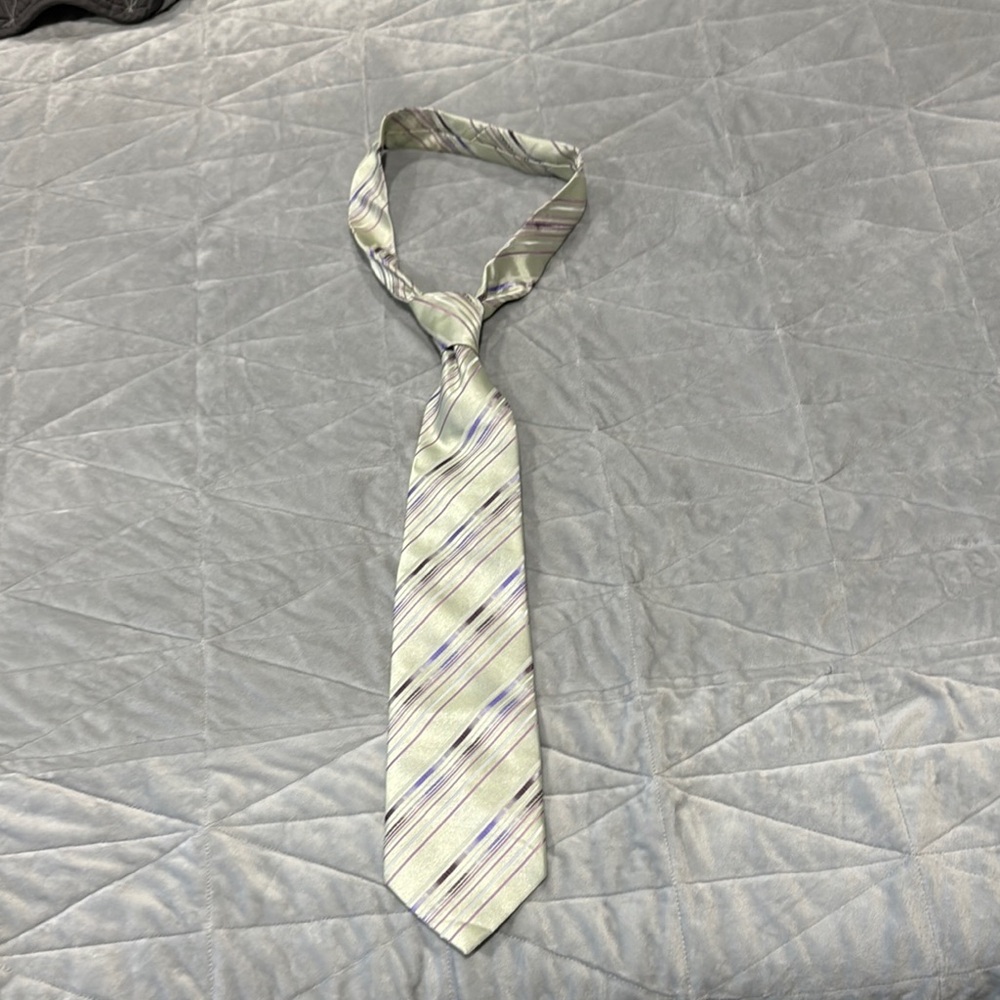 fC Striped Green and Purple Men's Tie